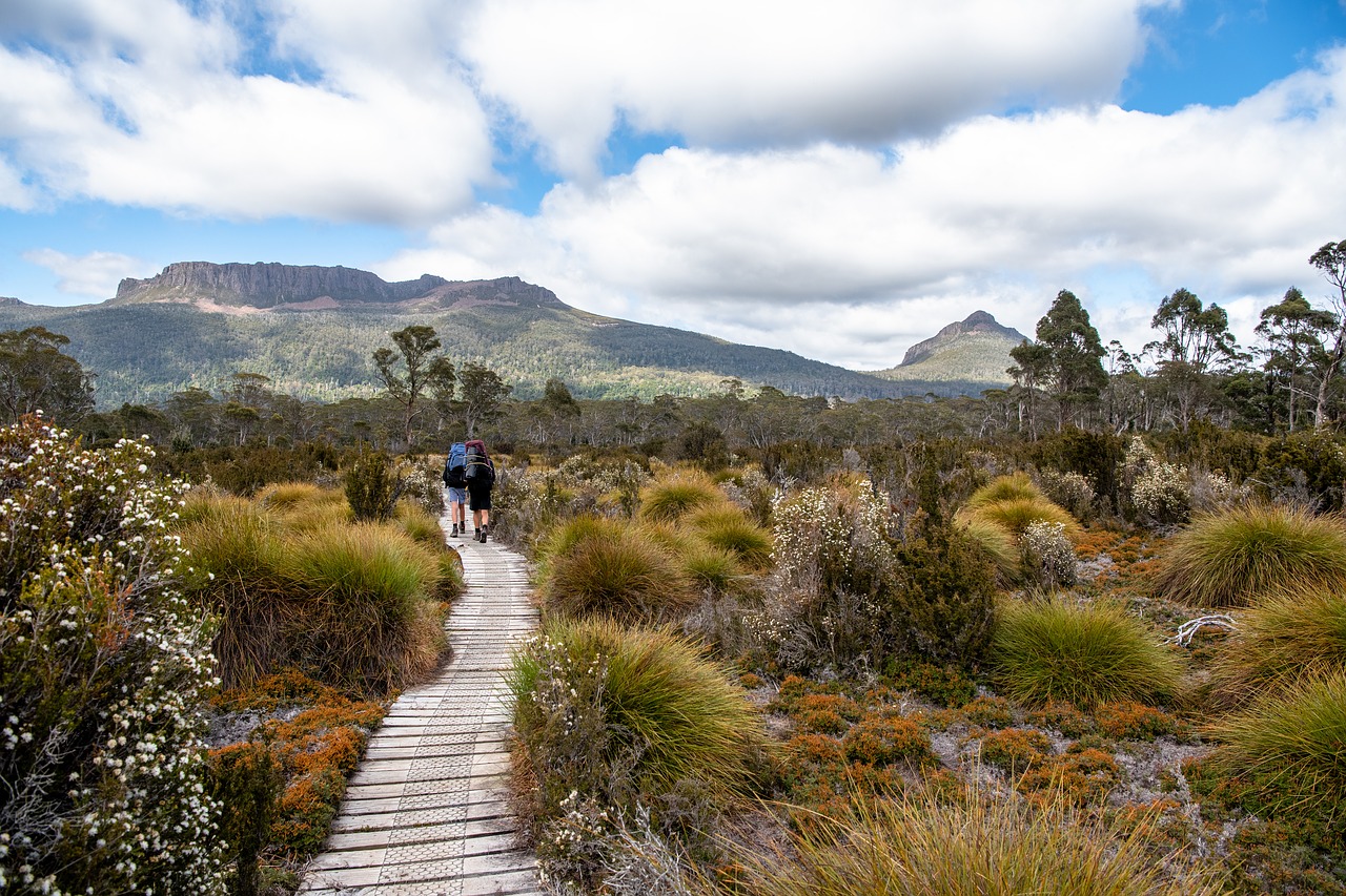 overland track Tasmania